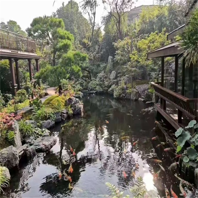 房县假山植物小鱼池